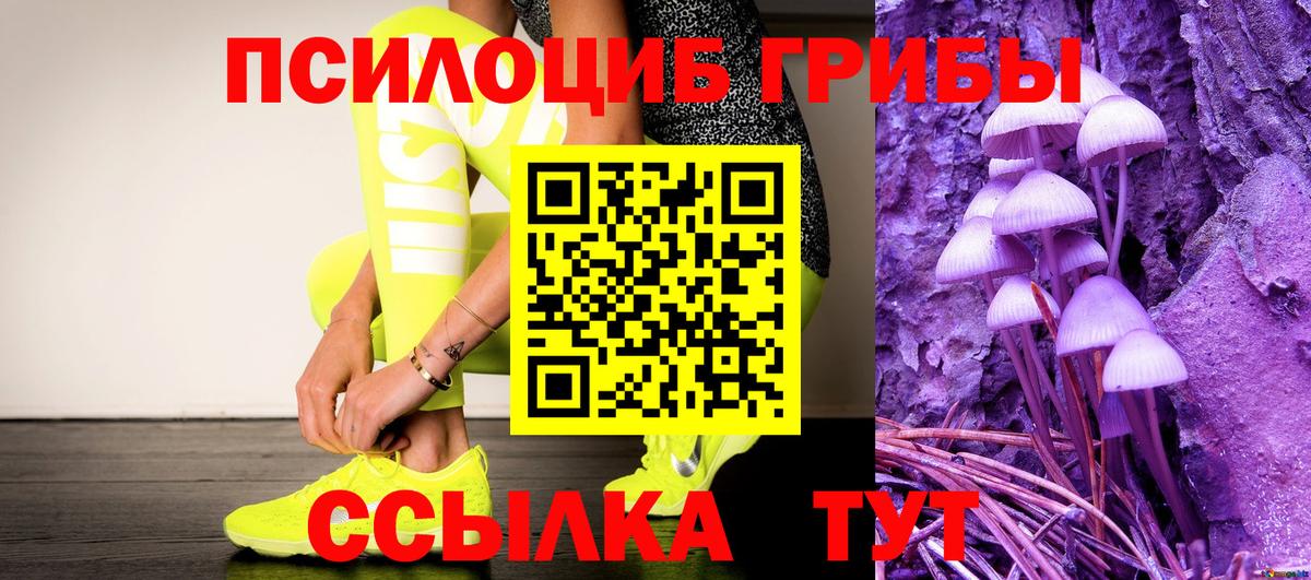 Галлюциногенные грибы прущие грибы  Псилоцибиновые грибы Psilocybine cubensis  Луховицы  Вход с VPN 